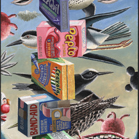 Morgan Bulkeley'swork, Book: Black-crowned Night-heron Mask